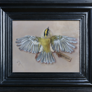 Goldcrest